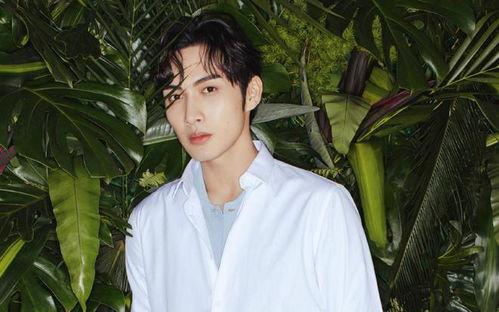 娱乐大爆料张彬彬,娱乐大爆料中的璀璨明星